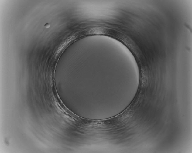 X0000099950386200806131452