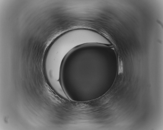 X0000099950387200806131452