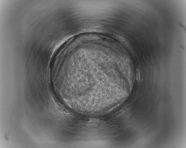 X0000099950388200806131452