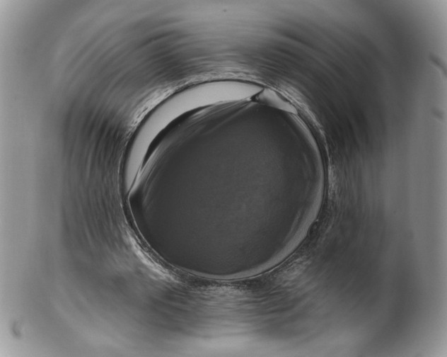 X0000099950389200806131452