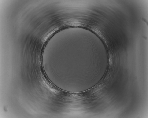 X0000099950390200806131452