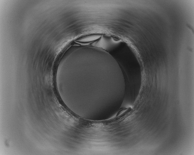X0000099950391200806131452