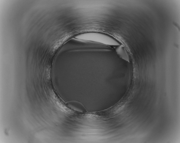X0000099950393200806131452