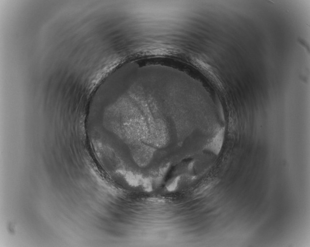 X0000099950394200806131452