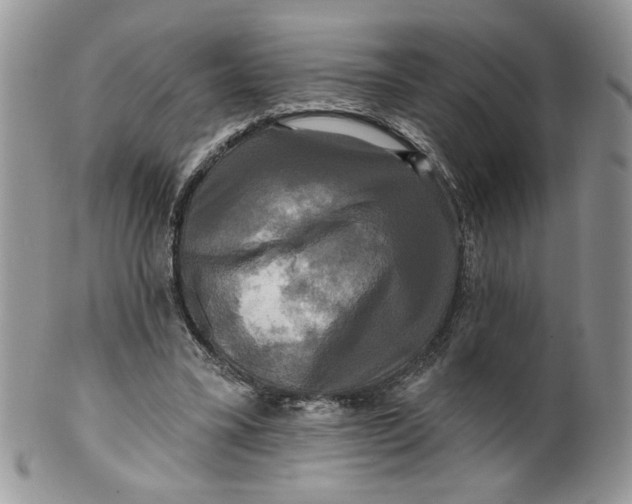 X0000099950395200806131452