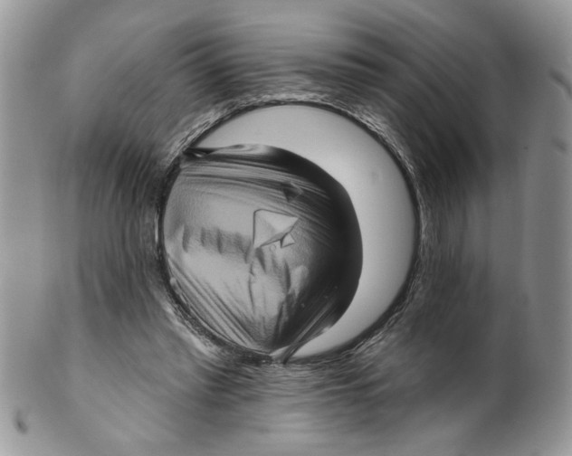 X0000099950397200806131452