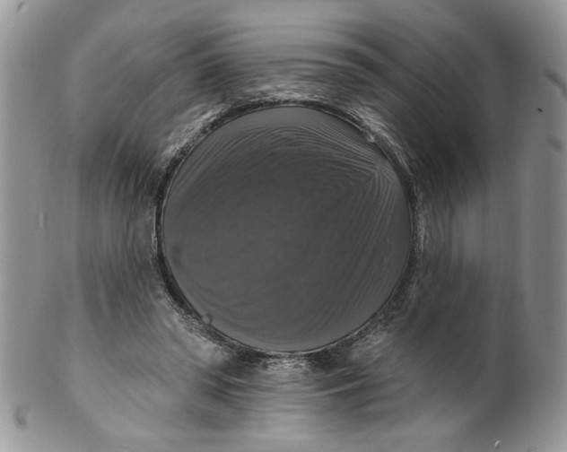 X0000099950398200806131452