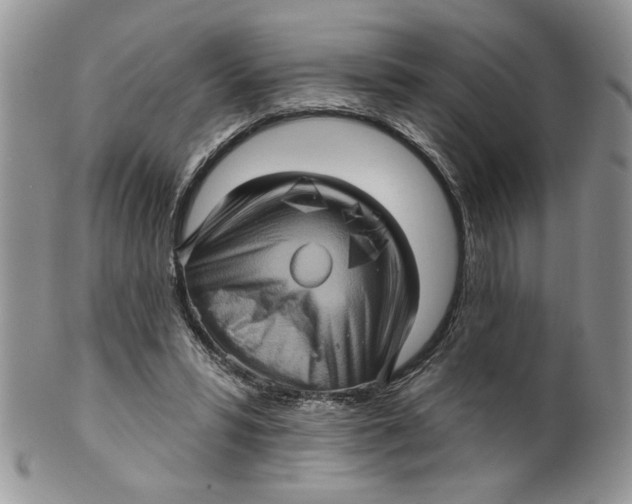 X0000099950399200806131452