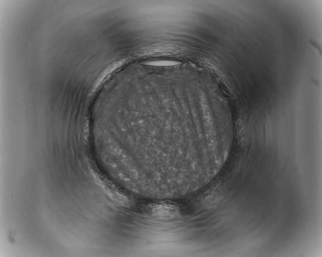 X0000099950400200806131452
