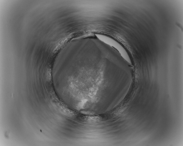 X0000099950401200806131452