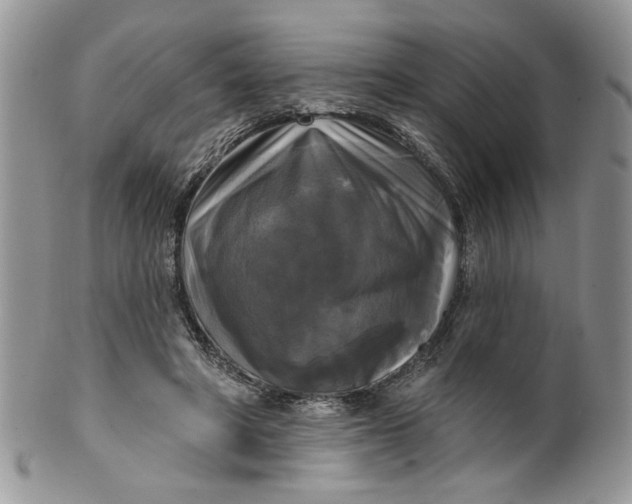 X0000099950402200806131452