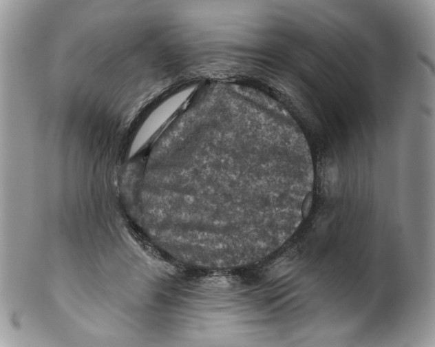 X0000099950404200806131452