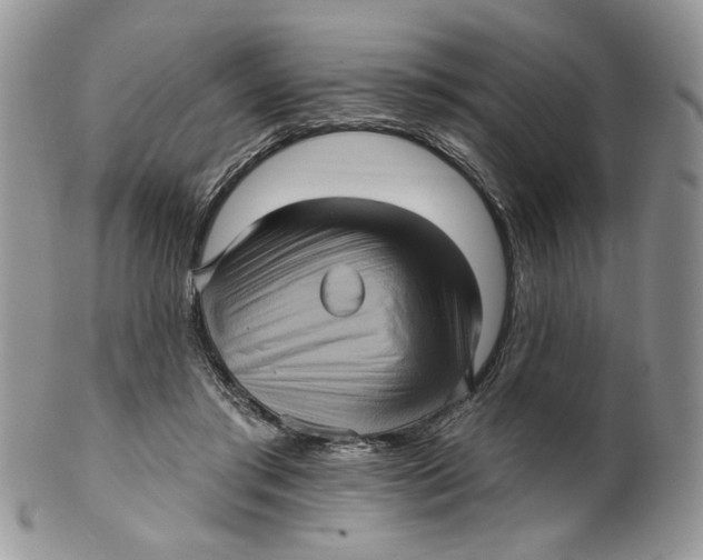X0000099950405200806131452