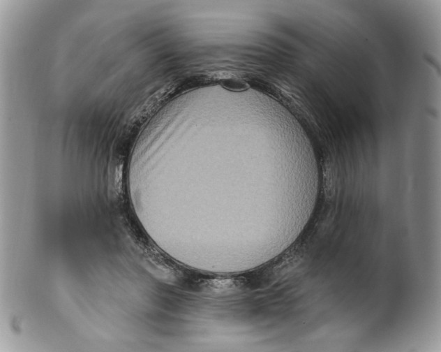 X0000099950406200806131452