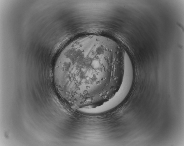 X0000099950407200806131452