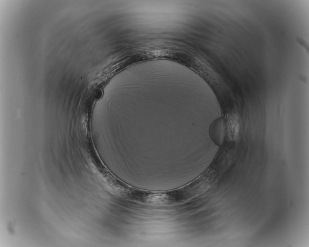 X0000099950410200806131452