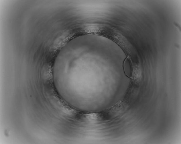 X0000099950411200806131452