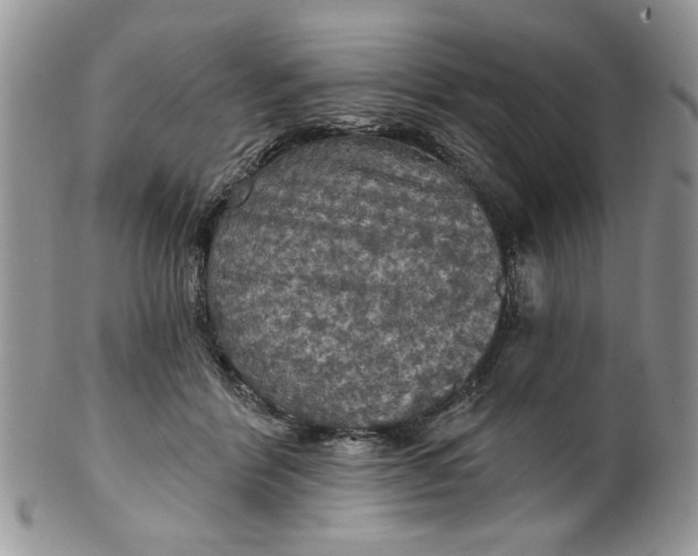 X0000099950412200806131452