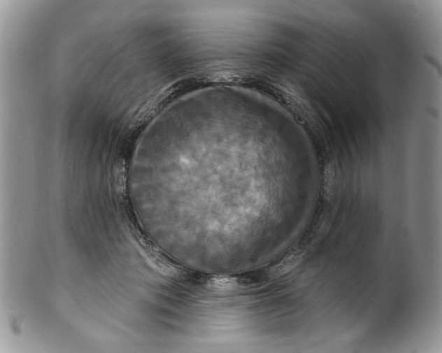 X0000099950413200806131452