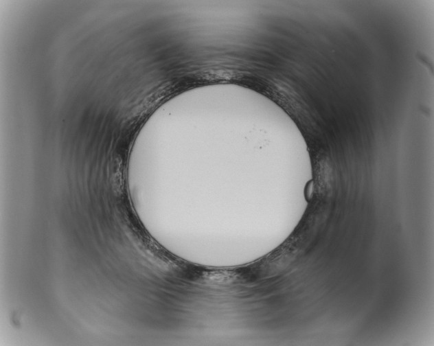 X0000099950414200806131452