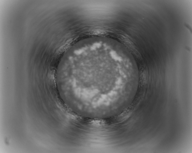 X0000099950415200806131452