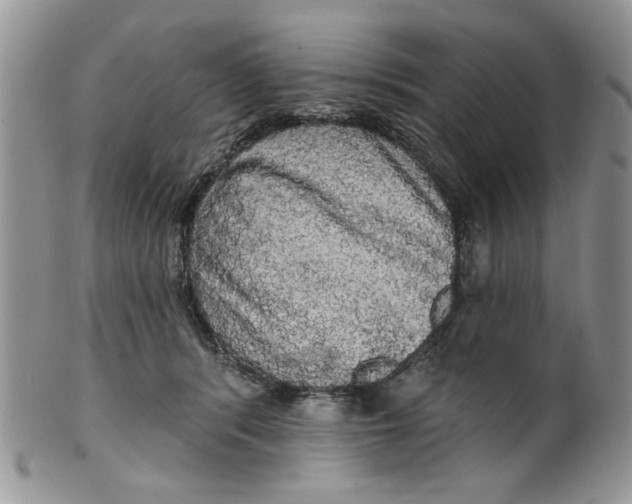 X0000099950416200806131452