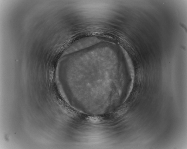 X0000099950417200806131452