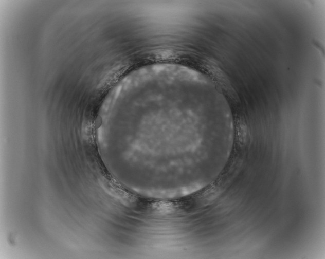 X0000099950419200806131452