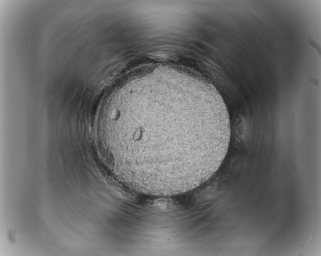 X0000099950420200806131452