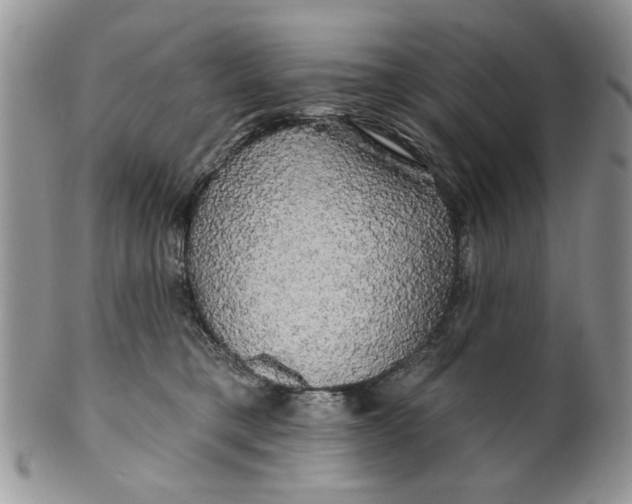 X0000099950421200806131451