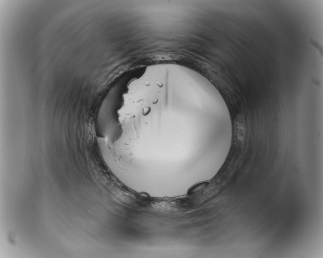X0000099950422200806131451