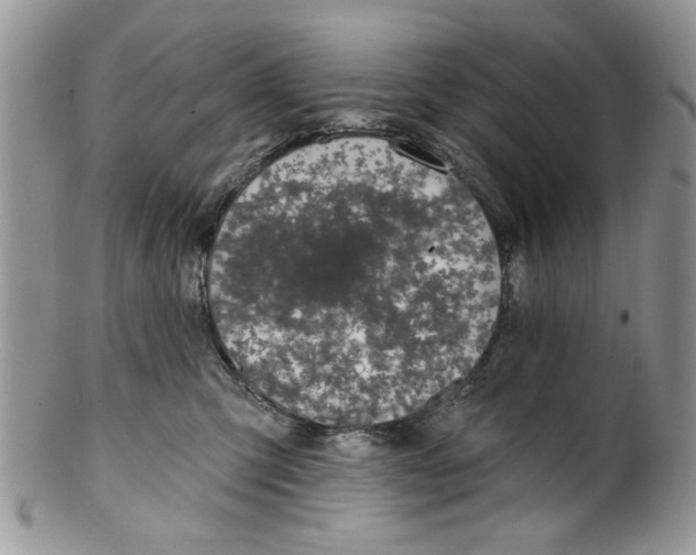 X0000099950423200806131451