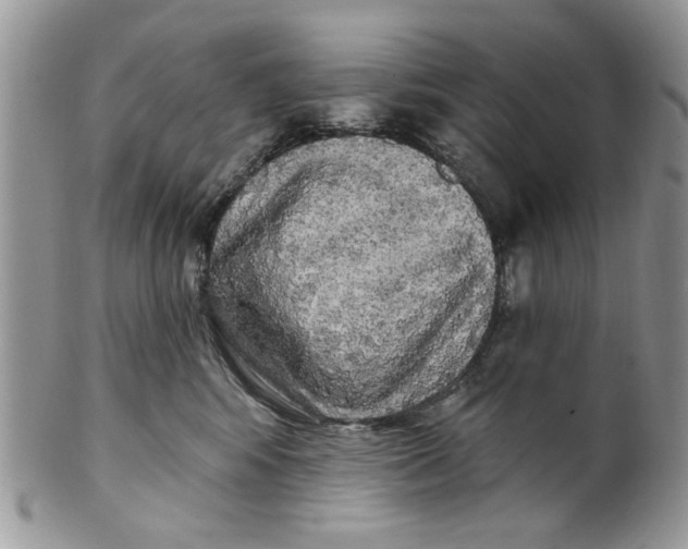 X0000099950424200806131451