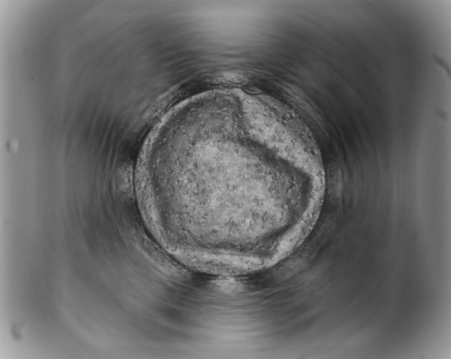 X0000099950425200806131451