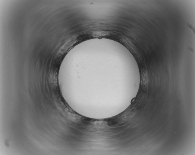 X0000099950426200806131451