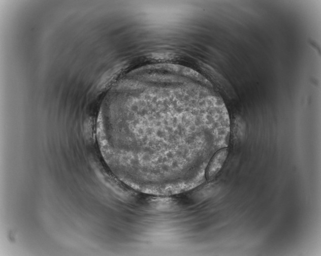 X0000099950428200806131451