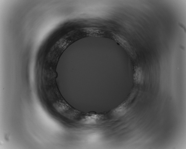 X0000099950430200806131451