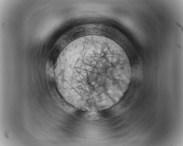 X0000099950431200806131451