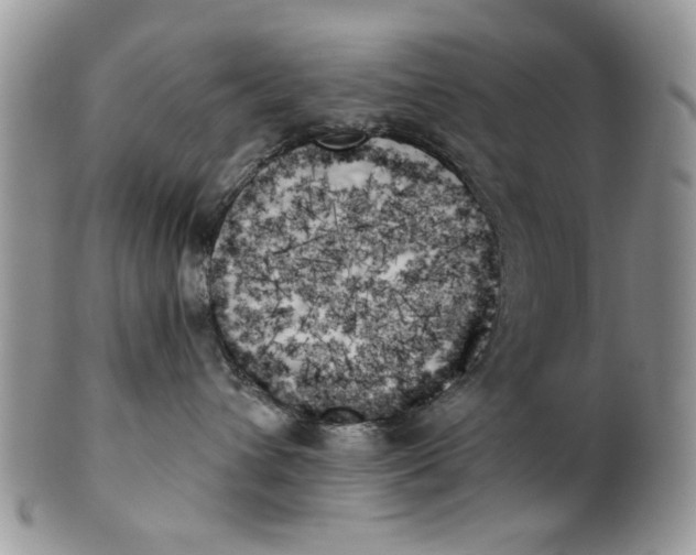 X0000099950432200806131451