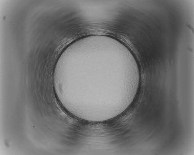 X0000099950433200806131451