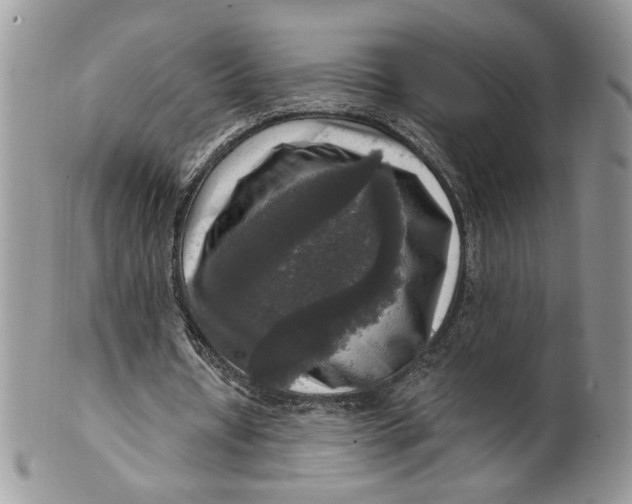 X0000099950434200806131451