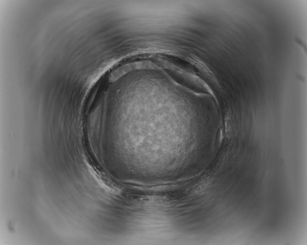 X0000099950436200806131451