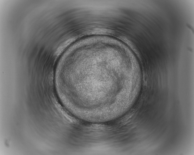 X0000099950437200806131451