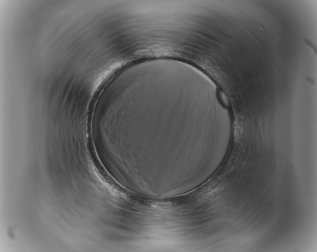 X0000099950438200806131451