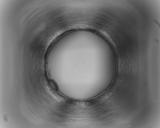 X0000099950439200806131451