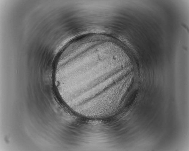 X0000099950440200806131451