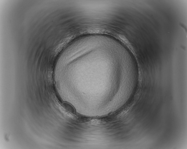 X0000099950441200806131451