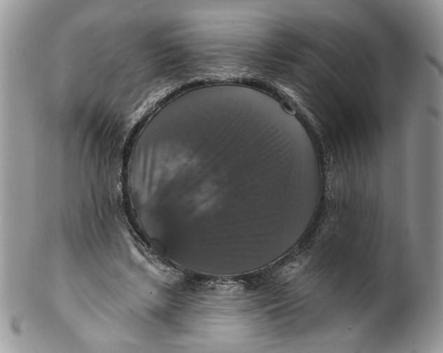 X0000099950443200806131451