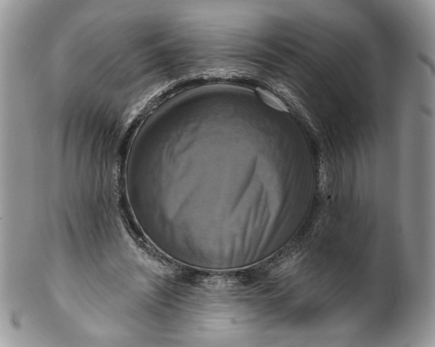 X0000099950444200806131451