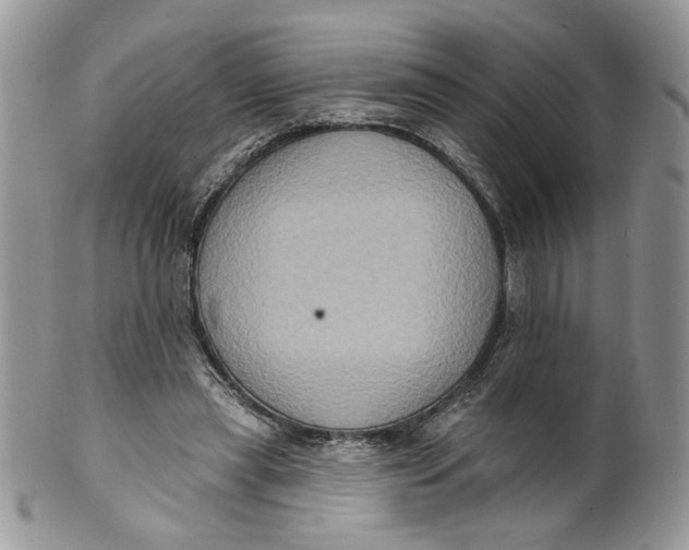 X0000099950445200806131451
